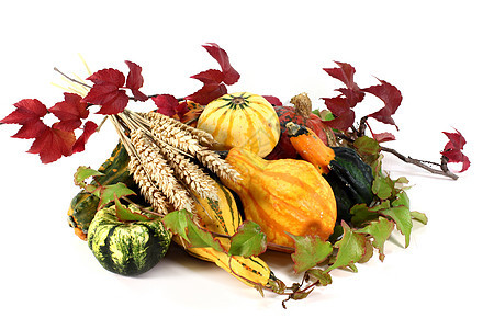 感恩水果市场蔬菜季节篮子观赏收成葫芦植物小麦图片