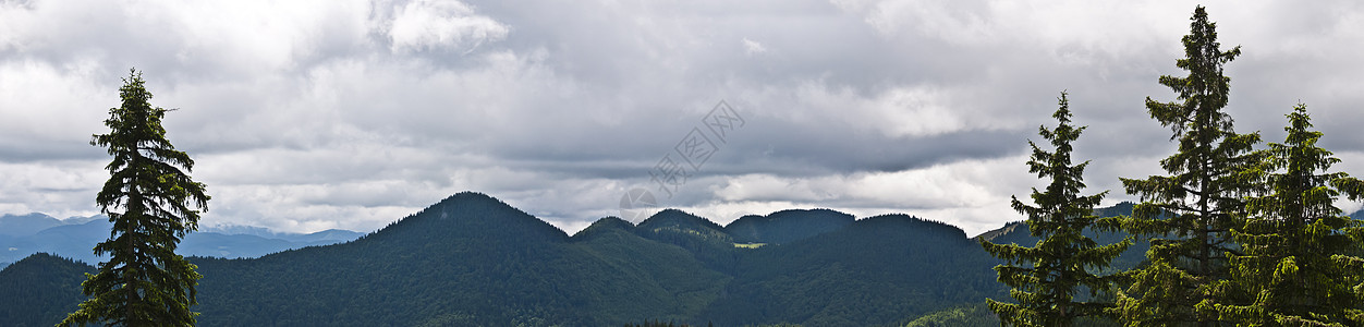 喀尔巴阡山脉的全景背景 美丽的山区和土地风景天气地平线顶峰场地旅行森林季节场景公园图片