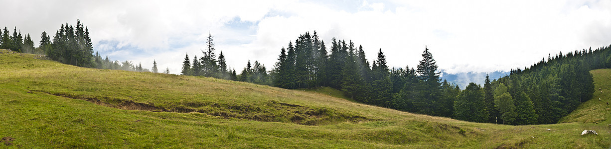 喀尔巴阡山脉的全景背景 美丽的山区和土地场景阳光顶峰木头地平线场地季节旅行公园岩石图片