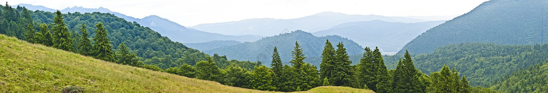 喀尔巴阡山脉的全景背景 美丽的山区和土地天气爬坡场地顶峰天空旅游旅行荒野季节岩石图片