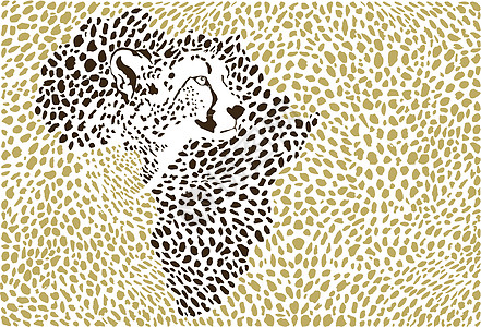 非洲猎豹组织的背景情况图片