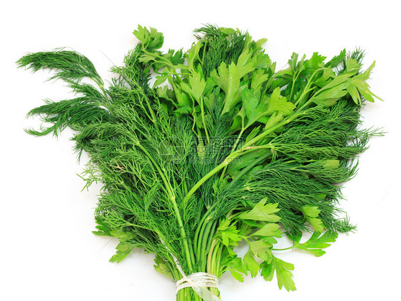 Dill和Parsley 孤立于白色背景蔬菜食物养分小吃厨房香菜绿色宏观茴香图片