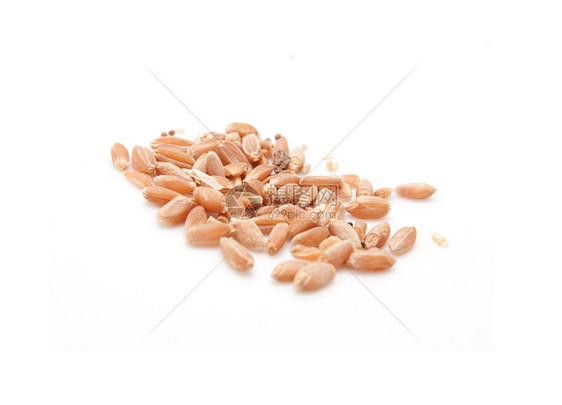 白边隔离的碗里小麦食物营养粮食面包农场种子棕色碎粒木板谷物图片