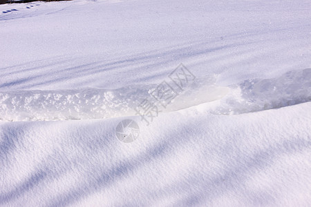 法国冬季阳光下雪雪的风景树木雪堆雪花白色滑雪蓝天背景图片