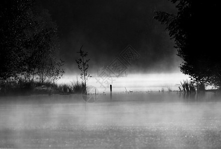 清晨的薄雾中 有一个小湖 它有黑白的 白的景色;图片