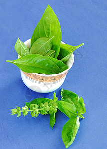 巴西尔团体蓝色烹饪花园食物味道沙拉植物学香味植物图片