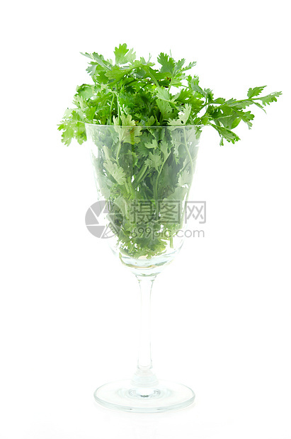 科里亚德语Name香菜玻璃食物蔬菜绿色叶子图片