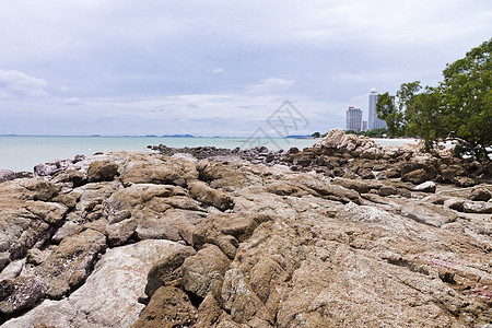 海边的落基海滩风景海岸日出正方形荒野野生动物阳光场景地平线岩石图片