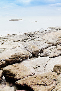 海滩 岩石地区和海洋海浪日出野生动物运动场景荒野旅行海岸石头海景图片