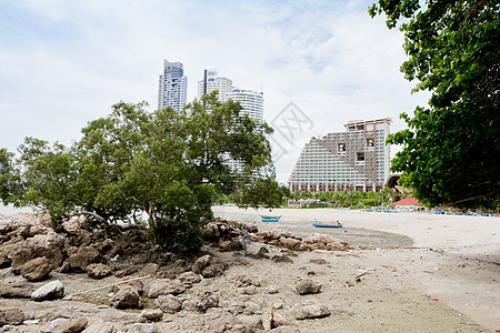 海滩 岩石地区和海洋阳光地平线正方形海浪风景荒野海景石头野生动物日落图片