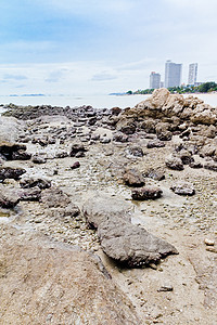 海滩 岩石地区和海洋石头地平线野生动物风景海景阳光热带荒野正方形太阳图片