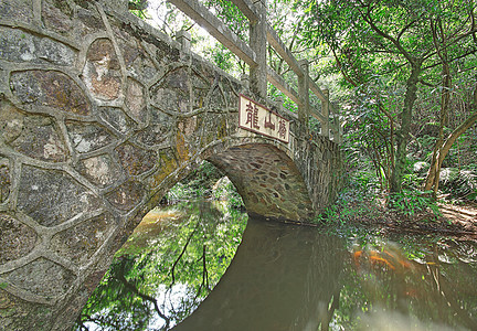 森林的桥梁苔藓建筑学旅行植物花园石头公园叶子建筑池塘图片