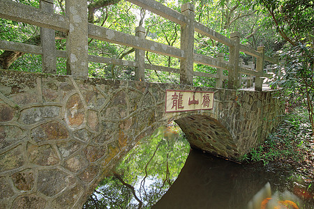 森林的桥梁旅行阴影溪流建筑学反射植物池塘建筑城市苔藓图片