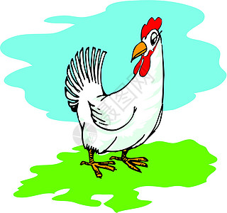 白母鸡卡通片绘画波峰白色动物群插图蓝色天空绿色图片