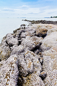 海滩 岩石地区和海洋地平线石头风景阳光热带海景海岸天空旅行日落图片