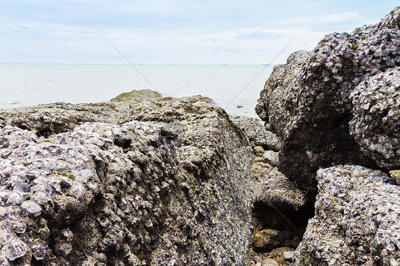 海滩 岩石地区和海洋日落阳光太阳运动荒野风景正方形蓝色海浪野生动物图片