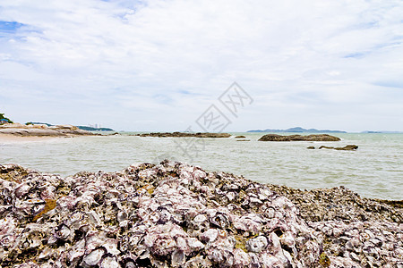 海滩 岩石地区和海洋正方形旅行日出风景海浪海岸海景场景太阳石头图片