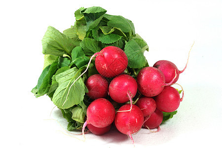 雷达蔬菜野萝卜维生素红色背景图片