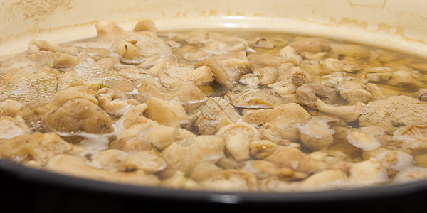 蘑菇在锅里做饭疔疮食谱膀胱食物厨房平底锅白色背景图片