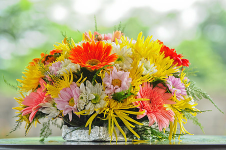 花朵叶子紫色橙子礼物花店季节团体植物花瓣植物学图片