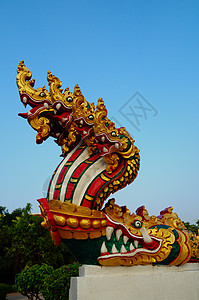 泰国龙或长永之王古董文化旅游天花板建筑学雕像寺庙雕塑动物宗教图片