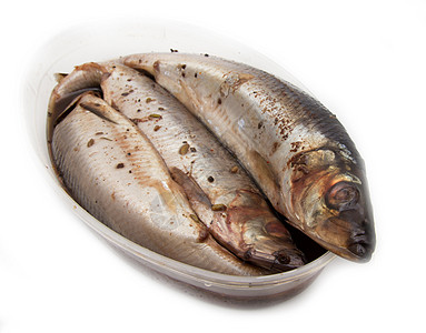 青辣咸的白种树苗玻璃鱼片小吃食物戒指浸泡海鱼饮食鲱鱼产品图片