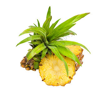 新鲜切片菠萝叶子热带白色黄色甜点宏观水果小吃绿色营养图片