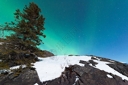北极光照耀着雪岩的北冰洋磁层星星漩涡云杉亮度北极星月光岩石磁场极光图片