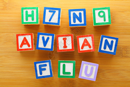 H7N9 禽流感玩具区生长孩子们立方体游戏正方形疾病知识童年拼写婴儿图片
