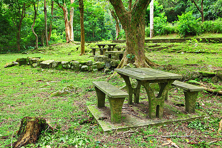 野餐地点花朵假期餐厅季节木头桌子草地国家椅子森林图片
