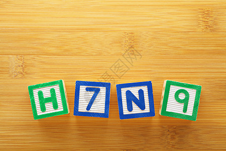 H7N9 玩具块拼写流感孩子们知识木头童年积木三角形立方体字母图片