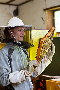 养蜂员在甲板上工作 持有一个蜂窝架蜜蜂名声帽子工人花粉蜂巢蜂蜜职业养蜂业蜂蜡图片