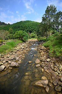 高地丛林石头岩石公园环境流动瀑布叶子木头绿色植物图片