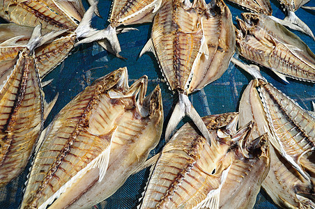 干鱼花岗岩餐厅钓鱼团体烹饪鲭鱼美食生活食物尾巴图片