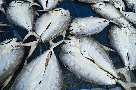 干鱼营养文化钓鱼尾巴国家鲭鱼生活美食海洋烹饪图片