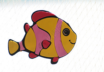 丰富多彩的鱼类荒野潜水情调生活蓝色童年野生动物水族馆海洋玩具图片