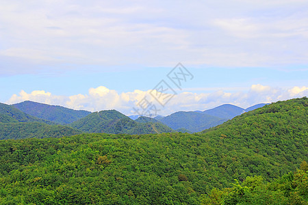 高加索绿色山脉的夏季风景景观和解旅游森林木头蓝色休息树木旅行绿色全景图片