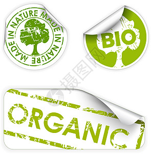 生态有机一套生物/生态/有机标签设计图片