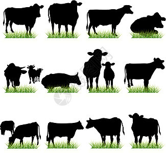 牛头环形影集图片