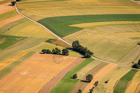 收获前绿色田野空中观察季节小麦房子金子谷物农作物场地收成农村食物图片