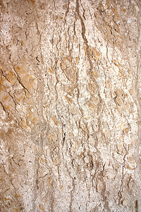 大理石瓷砖平板制品陶瓷地面浴室岩石棕色宏观优雅材料图片