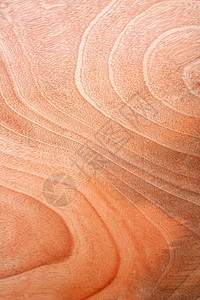 文词桌子棕色木头装饰单板风格木材松树橡木材料图片