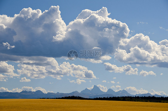 美国爱达荷州泰顿县Teton县小麦酱田 Teton山和积云云丘陵农场场地山脉乡村风景天空森林季节性农村图片