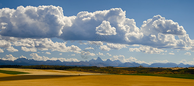 美国爱达荷州Teton县Teton县滚动农田 Teton山和积云云的全景图片