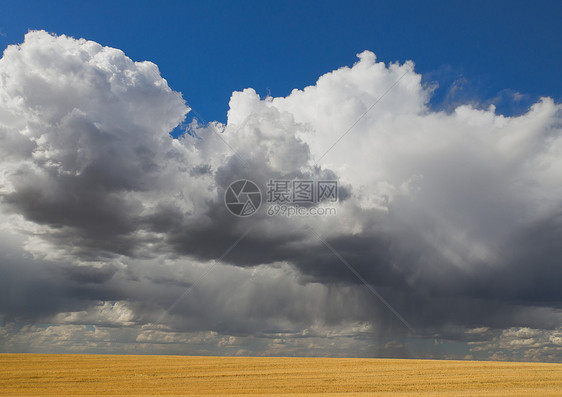 美国爱达荷州泰顿县Teton县小麦薯片田和高耸的风暴云图片
