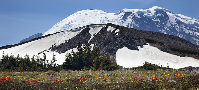 月日山野向之花 华盛顿池塘风景旅行火山公吨野花高山天空远景蓝色图片