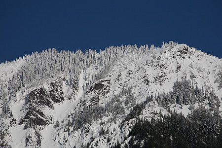 雪覆盖树和山 斯诺夸尔姆山口 华盛顿图片