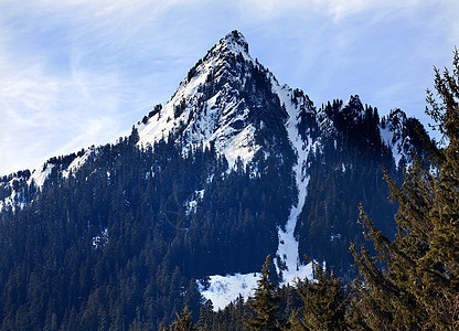 华盛顿斯诺夸尔梅山环境旅行森林山脉高山生态首脑天空顶峰崎岖图片