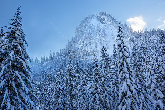 山雪峰 Snoqualme 山口图片