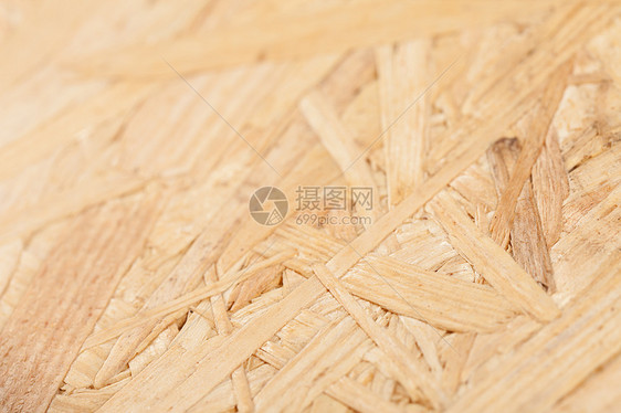 木质木纹建造木头地面风格木材样本硬木单板宏观图片